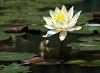 Daily Spirituality