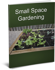 Small Space Gardening Cover