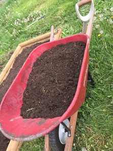 Wheelbarrow with soil.