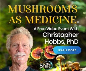 Mushrooms as medicine