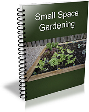 Small Space Gardening Report